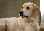 37 Paul im Portrait
